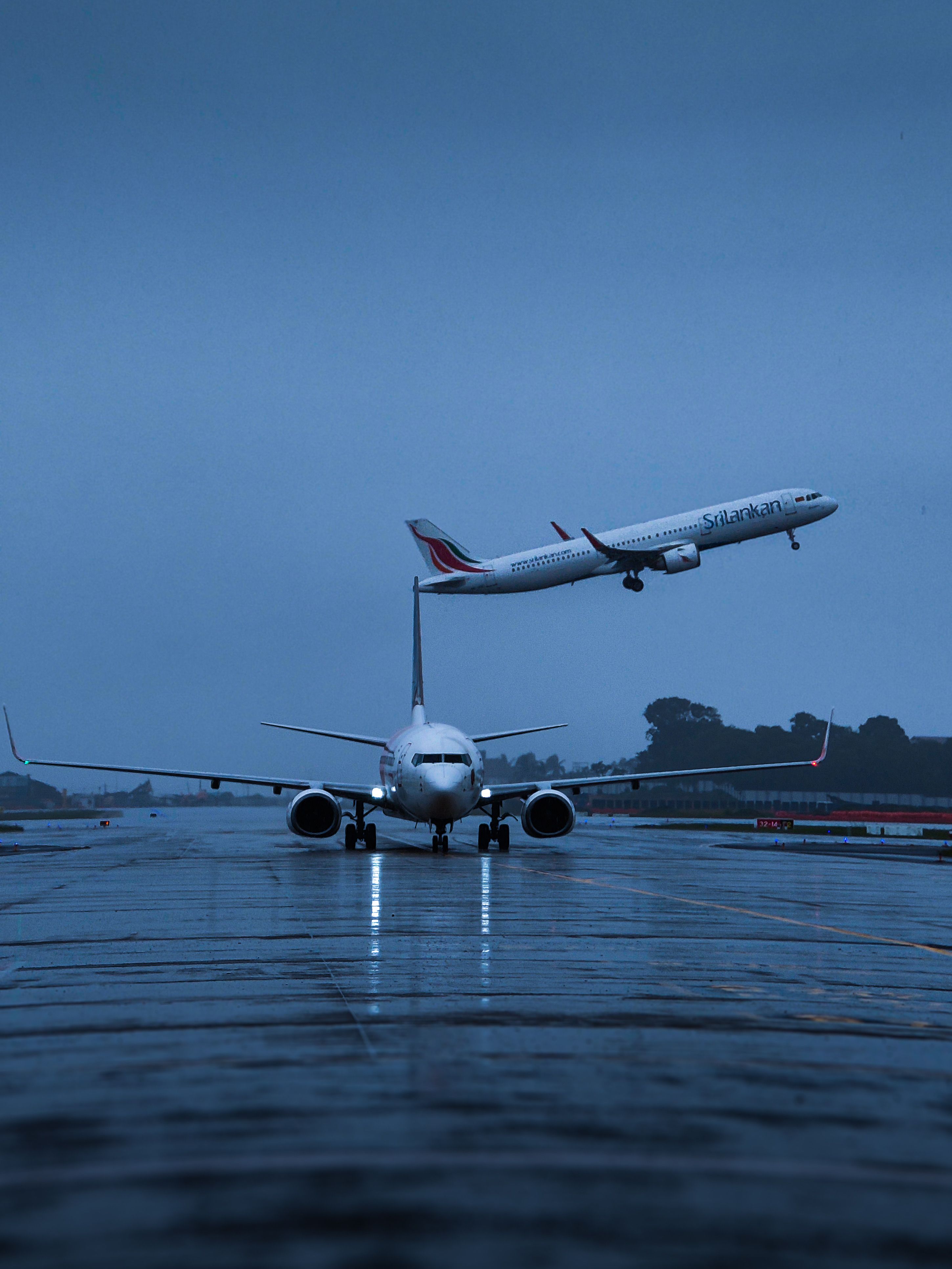 Domestic Flights
